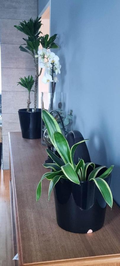 Lund - Exellent Homestay